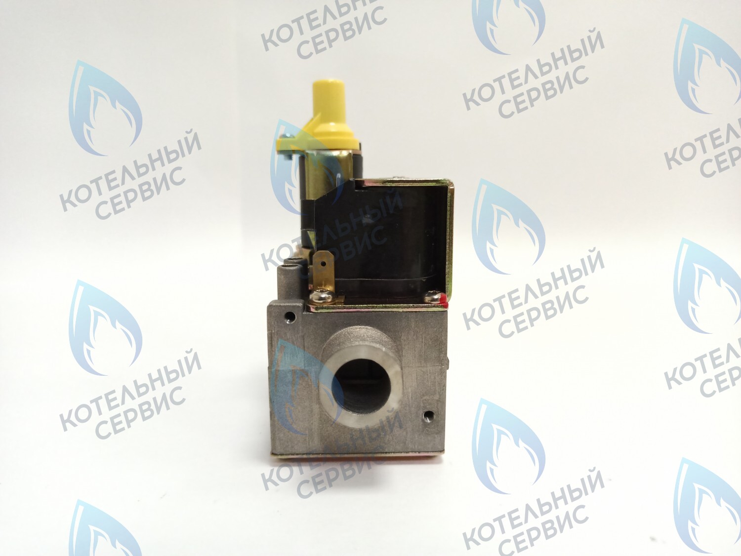 AA10021032 Газовый клапан Electrolux (AA10021032) в Орске