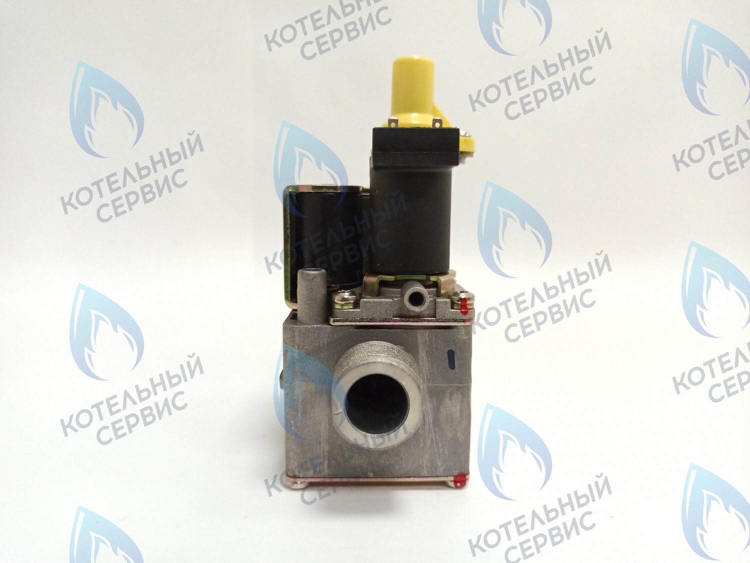 AA10021032 Газовый клапан Electrolux (AA10021032) в Орске