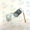 39816110 Термостат дымовых газов предохранительный 110C  (36401810) FERROLI в Орске