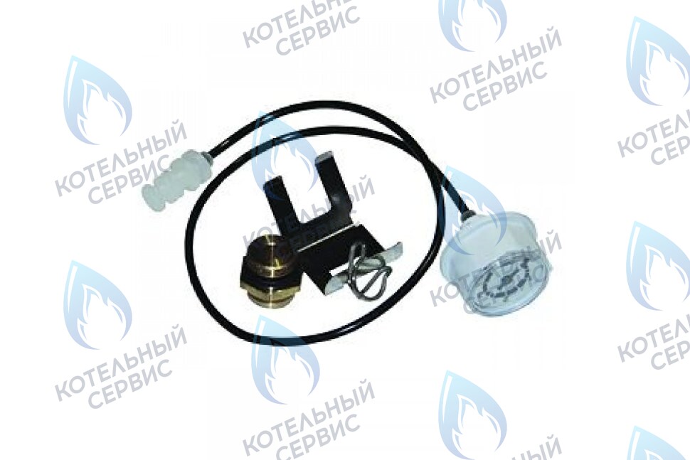 87387036010 Манометр BUDERUS в Орске