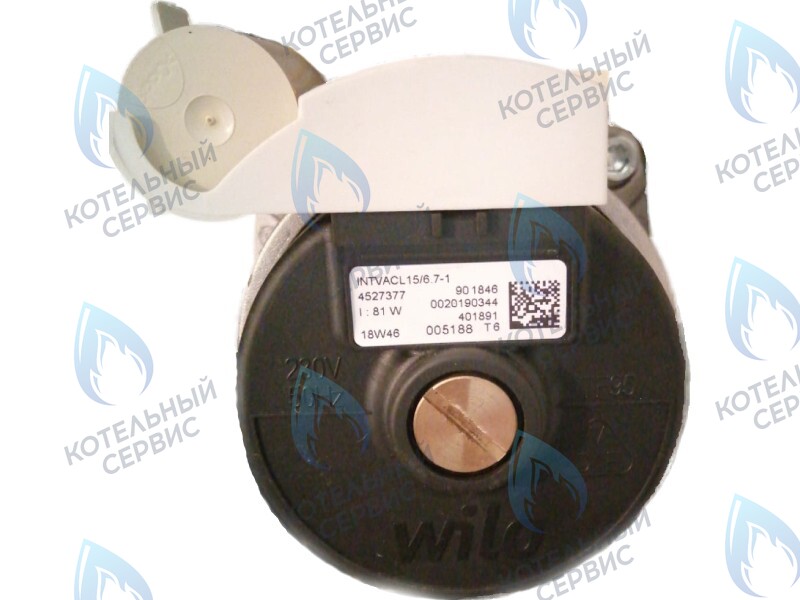 0020186161 Двигатель насоса Protherm Lynx Condens 18/25 MKV -A (H-RU) (81W) (без улитки) (против часовой, втулка 40мм, колесо 68/21мм) в Орске