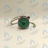 PH-W21CCW60-DA90PR-5PIN Двигатель насоса Duca APW-R 15-6.2A (против часовой стрелки) PROTHERM Пантера H-RU (0020197549, 0020209790) (замена WILO INTVACL 15/6.7-2) ПАНТЕРА 35 KTV H-RU (0020186162) (замена VACL 15/7) в Орске