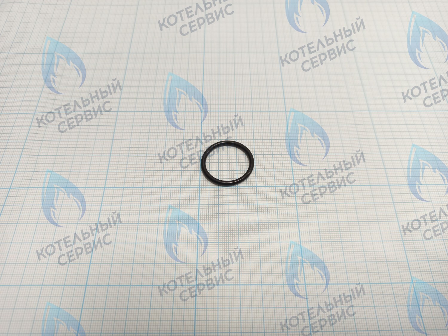 ZR406 Уплотнительное кольцо 23,47х2,62 в Орске