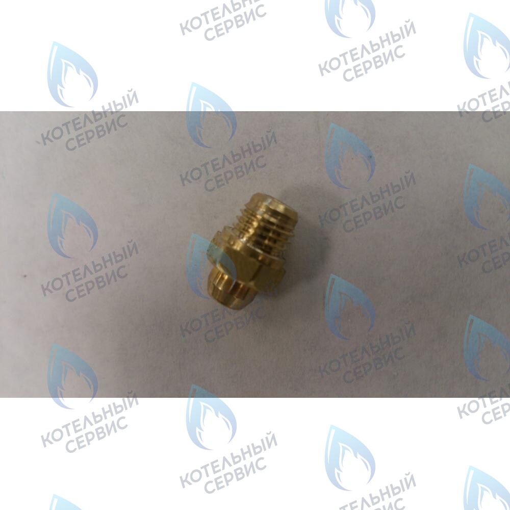 6306101018 Инжектор Ø 0,80 (Сжиженный газ) BAXI в Орске