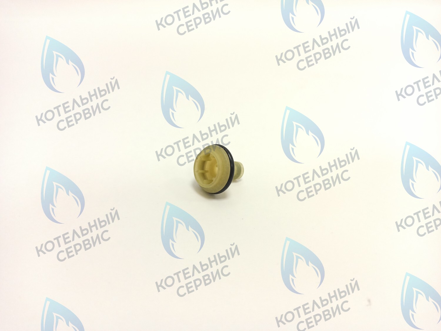 50101023 Поршень гидравлического узла (50101023) ELECTROLUX в Орске