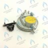 BI1596 102 Прессостат (BI1596 102) BIASI в Орске