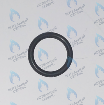 45560250 Кольцо уплотнительное FERROLI в Орске
