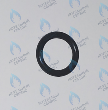 45560540 Кольцо уплотнительное FERROLI в Орске