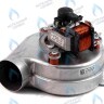 AF025-40W-F Вентилятор 40W Fime BOSCH 6000 WBN6000-24C/24H И BUDERUS U072-24K/24 (87186429220) в Орске