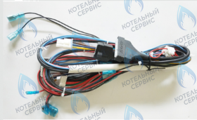 Проводка котла FERROLI