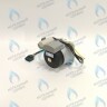 PH-W21CCW50-WA79PR-5PIN-Комп Двигатель насоса 1000L/H аналог WILO INTVACL 15/5-2 Protherm Гепард 23 MTV / MOV вер. 19, Пантера 25 KTV / KOV, 30 KTV вер. 19 (без улитки) (против часовой, втулка 35мм, колесо 68/21мм) (0020097216, 0020197548) в Орске