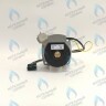 PH-W21CCW50-WA79PR-5PIN-Комп Двигатель насоса 1000L/H аналог WILO INTVACL 15/5-2 Protherm Гепард 23 MTV / MOV вер. 19, Пантера 25 KTV / KOV, 30 KTV вер. 19 (без улитки) (против часовой, втулка 35мм, колесо 68/21мм) (0020097216, 0020197548) в Орске