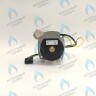 PH-W21CCW50-WA79PR-5PIN-Комп Двигатель насоса 1000L/H аналог WILO INTVACL 15/5-2 Protherm Гепард 23 MTV / MOV вер. 19, Пантера 25 KTV / KOV, 30 KTV вер. 19 (без улитки) (против часовой, втулка 35мм, колесо 68/21мм) (0020097216, 0020197548) в Орске