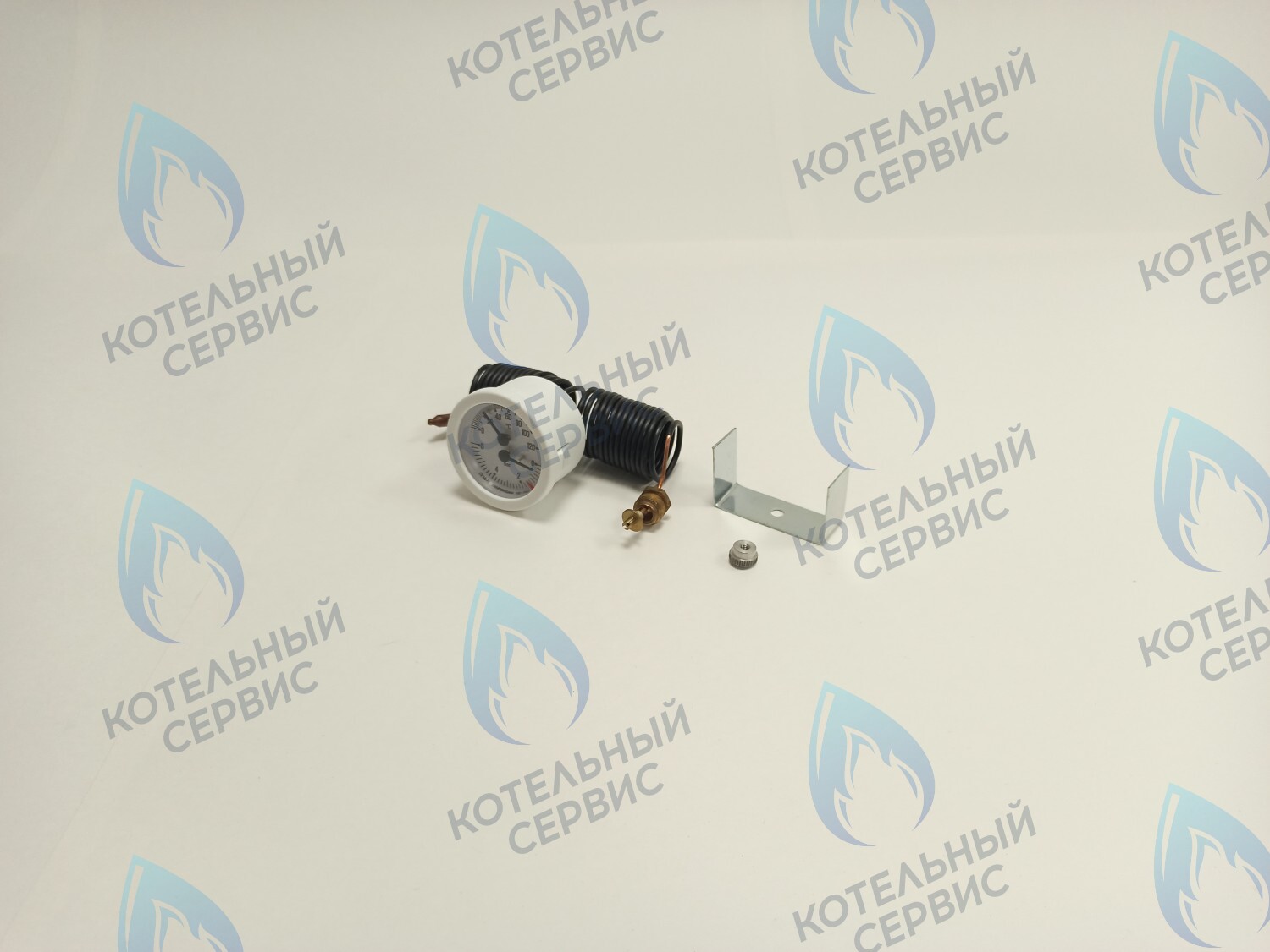 39806020 Термоманометр 0-6 bar 0-120C  (36400790) FERROLI PEGASUS F3 в Орске