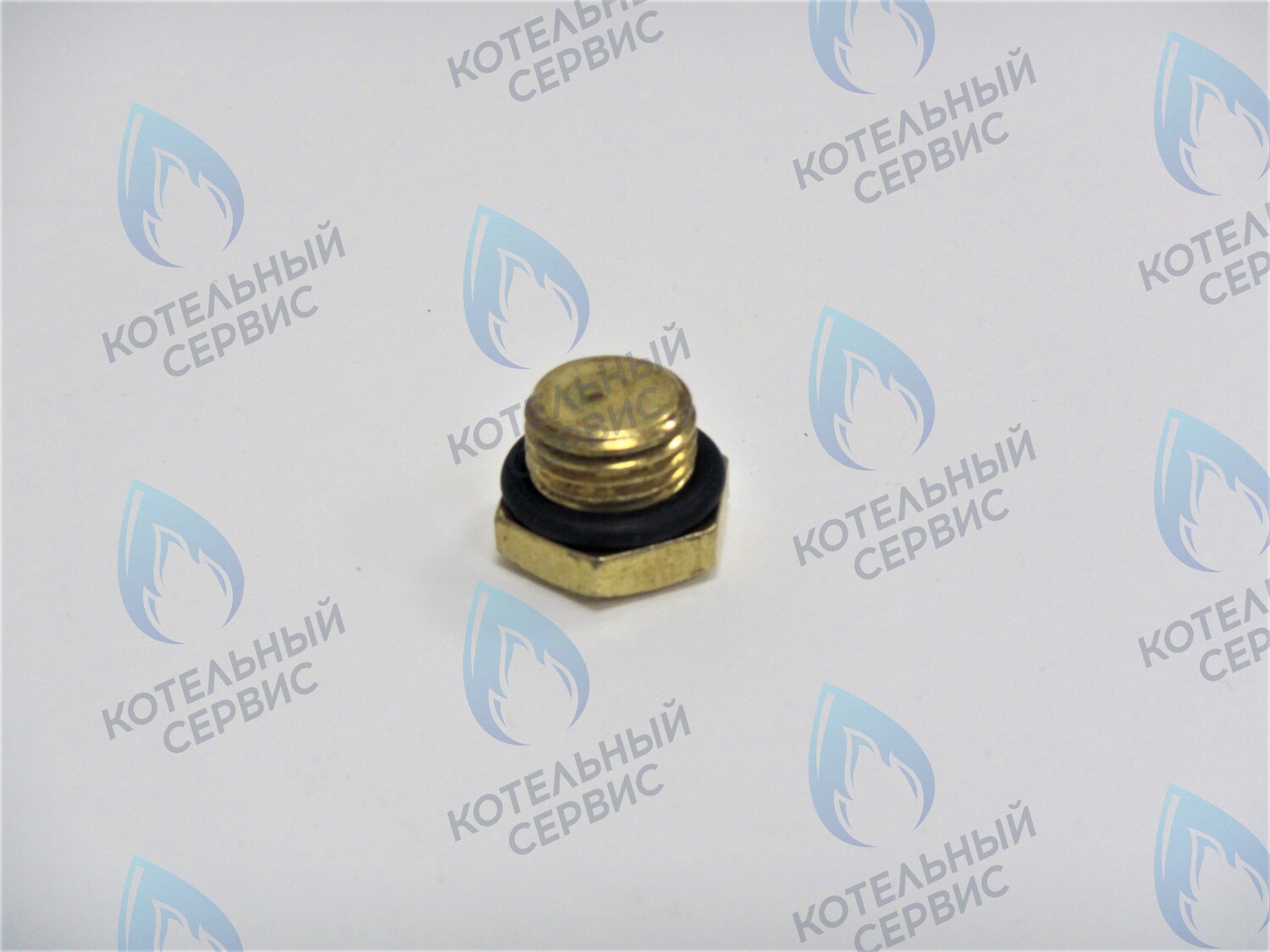 ZZ009 Заглушка 1/4" наружная резьба в Орске