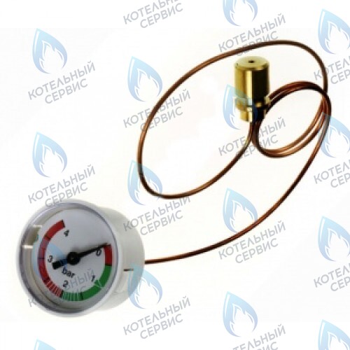 0020094636 Манометр PROTHERM в Орске