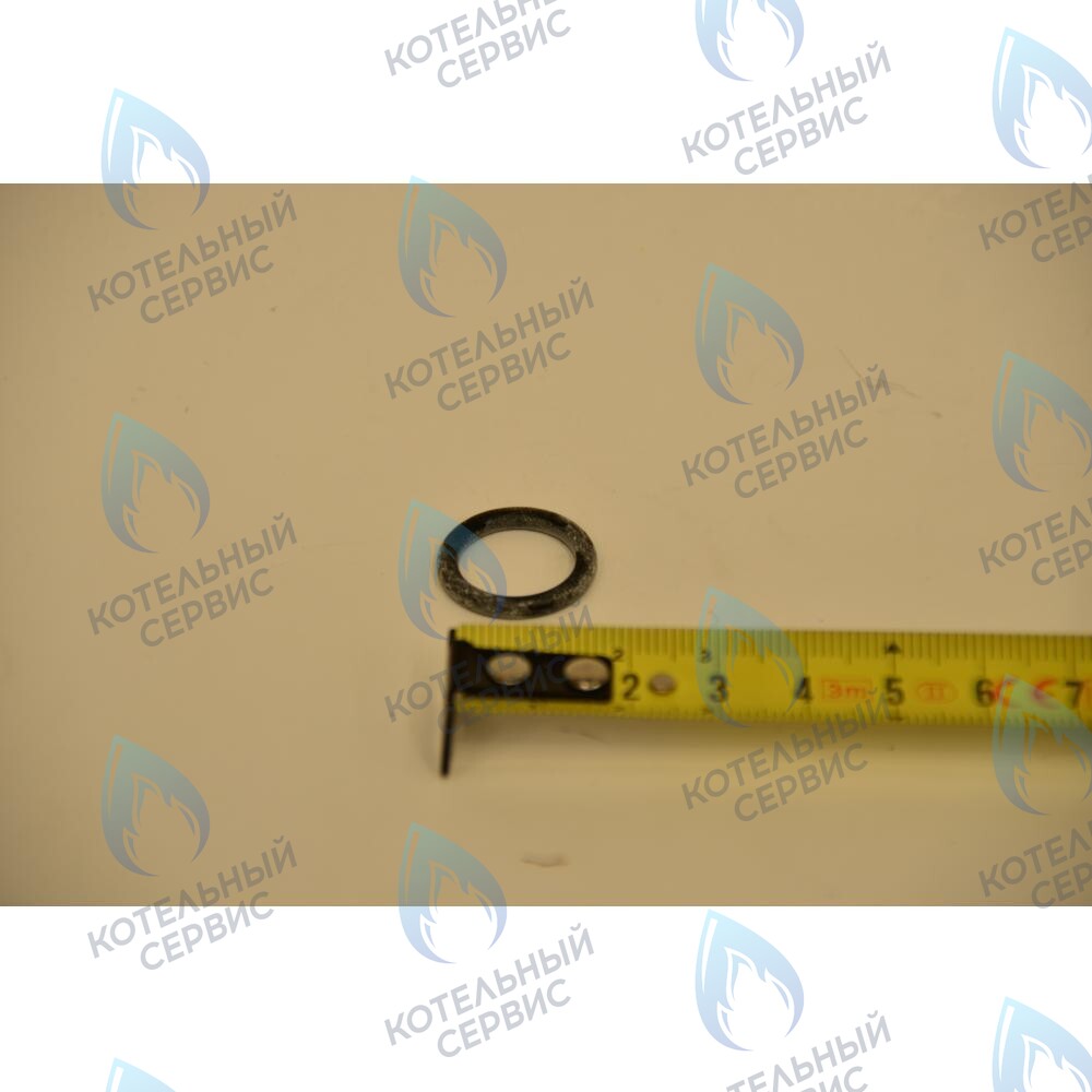 711296900 Прокладка круглая 13,94x2,62 BAXI в Орске