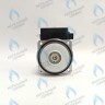 PH-W30CW50-DW84BX Двигатель насоса DUCA BPS15-5D (без улитки) (по часовой стрелке) 15/5 (замена WILO 15/5 BAXI, NEVALUX, THERMONA, PROTHERM СКАТ K11) в Орске