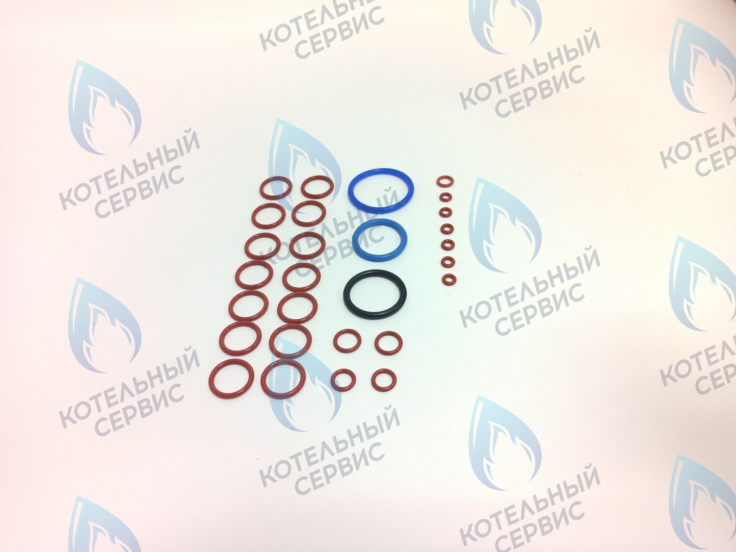 ZP401 Комплект уплотнительных колец O-ring для котла Daewoo/Hydrosta 100-300 в Орске