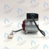 PH-W21CCW67-DW92PR-5PIN Двигатель насоса DUCA VPWR 6.7A (против часовой стрелки) PROTHERM Пантера H-RU (0020197549, 0020209790) (замена WILO INTVACL 15/6.7-2) ПАНТЕРА 35 KTV H-RU (0020186162) (замена VACL 15/7) в Орске