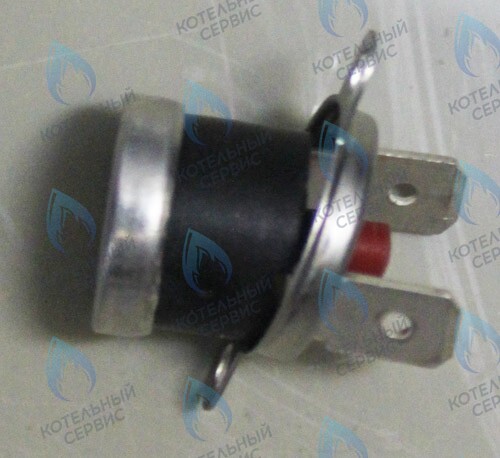 0020094666 Термостат 100°C PROTHERM в Орске