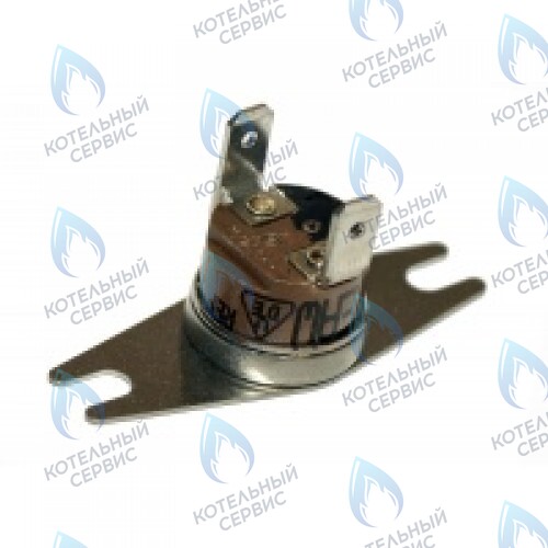 0020049261 Термостат продуктов сгор.65+3°C PROTHERM в Орске