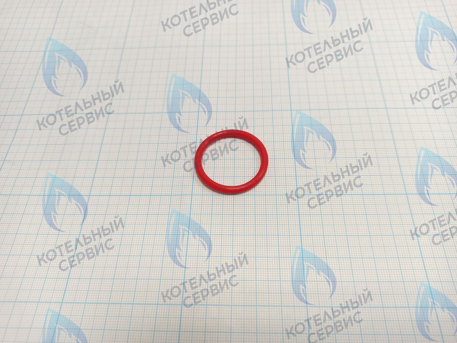 20007016A Кольцо уплотнительное O-ring Navien для фильтра (BH2423087A) в Орске