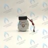 PH-N28CW60-GN95 Двигатель насоса GM-PUMP NVN 15/6 Navien (30000469A, 30000469B, NAPU9GLPCT36) в Орске