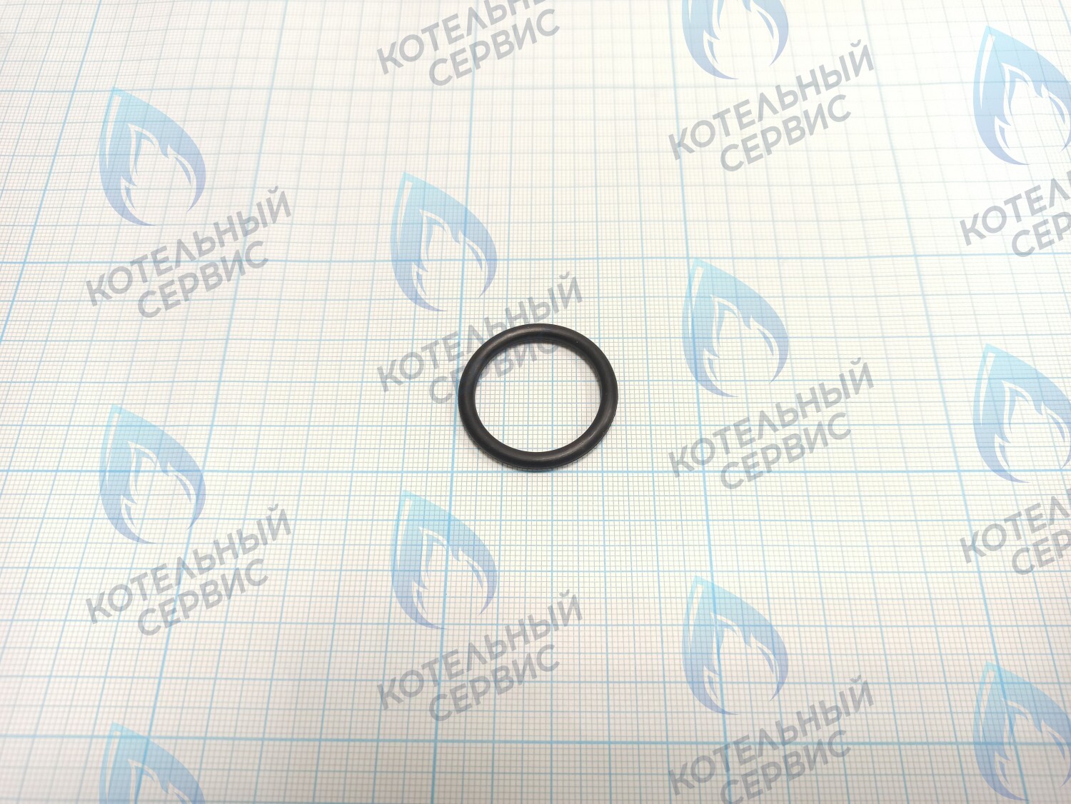 20006936A Кольцо уплотнительное O-ring (NBR,P26×3.5t,Bk) (BH2421010A) NAVIEN в Орске