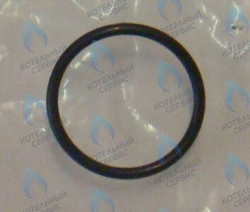 0020097226 Прокладка комплект (10 шт.) PROTHERM в Орске