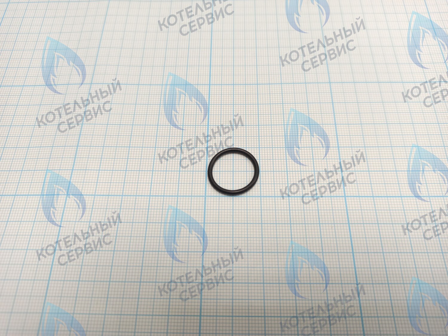 BI1001 131 Прокладка O-Ring 1,78 X 15,6 (BI1001 131) в Орске