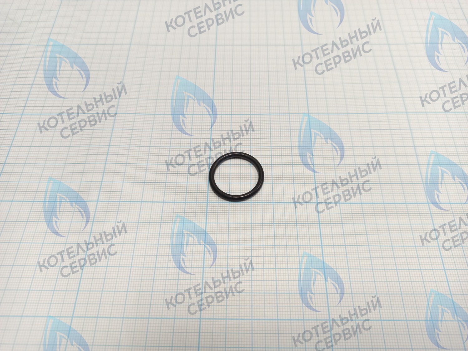 BI1001 130 Прокладка O-Ring 2,6 X 20,6 (BI1001 130) в Орске