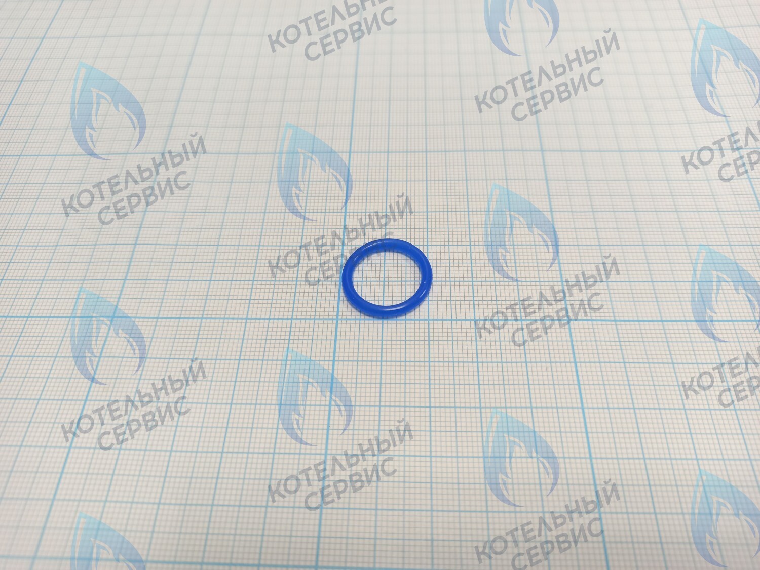 20007019A Кольцо уплотнительное O-ring Navien (SILICONE,P16,Bl) (BH2423090A) в Орске
