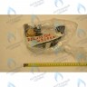 722175500 Насос циркуляционный UP 15-50 AO BAXI в Орске
