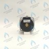 PH-W21CW50-WA82-RS2-Комп Двигатель насоса (черный пластик) (без улитки, без терминала, 2 скорости) аналог WILO 82w INTMSL15/5 HE-2 (21мм по часовой) в Орске