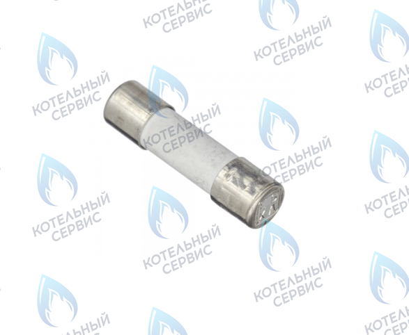 0020067507 Предохранитель 2,0 A T2H (комплект 10шт) VAILLANT в Орске