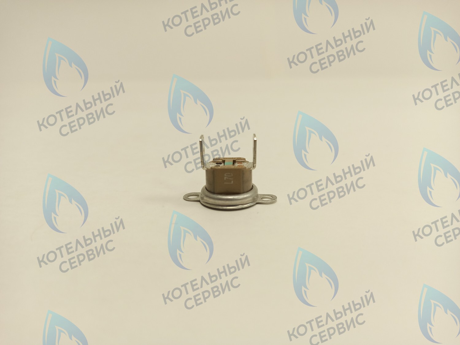 39820770 Термостат дымовых газов аварийный 70С Ferroli в Орске