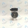 PMP01AP60-PR120-Комп Циркуляционный насос Protherm Гепард 12 / 23 MTV / MOV GPD15-6S (H-RU) (против часовой стрелки) (втулка 40мм, колесо 70/30мм) в Орске