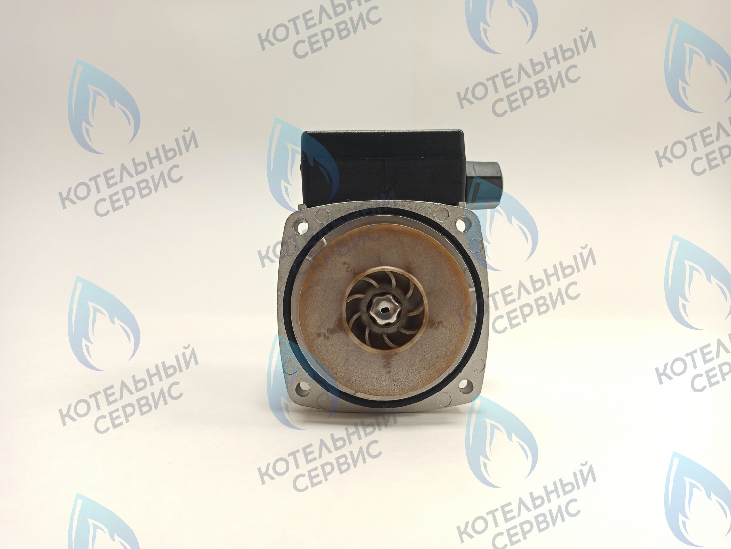 PH-G30CCW50-ER95-02 Двигатель насоса (против часовой) ERCO DWP15-50-A (без улитки) в Орске