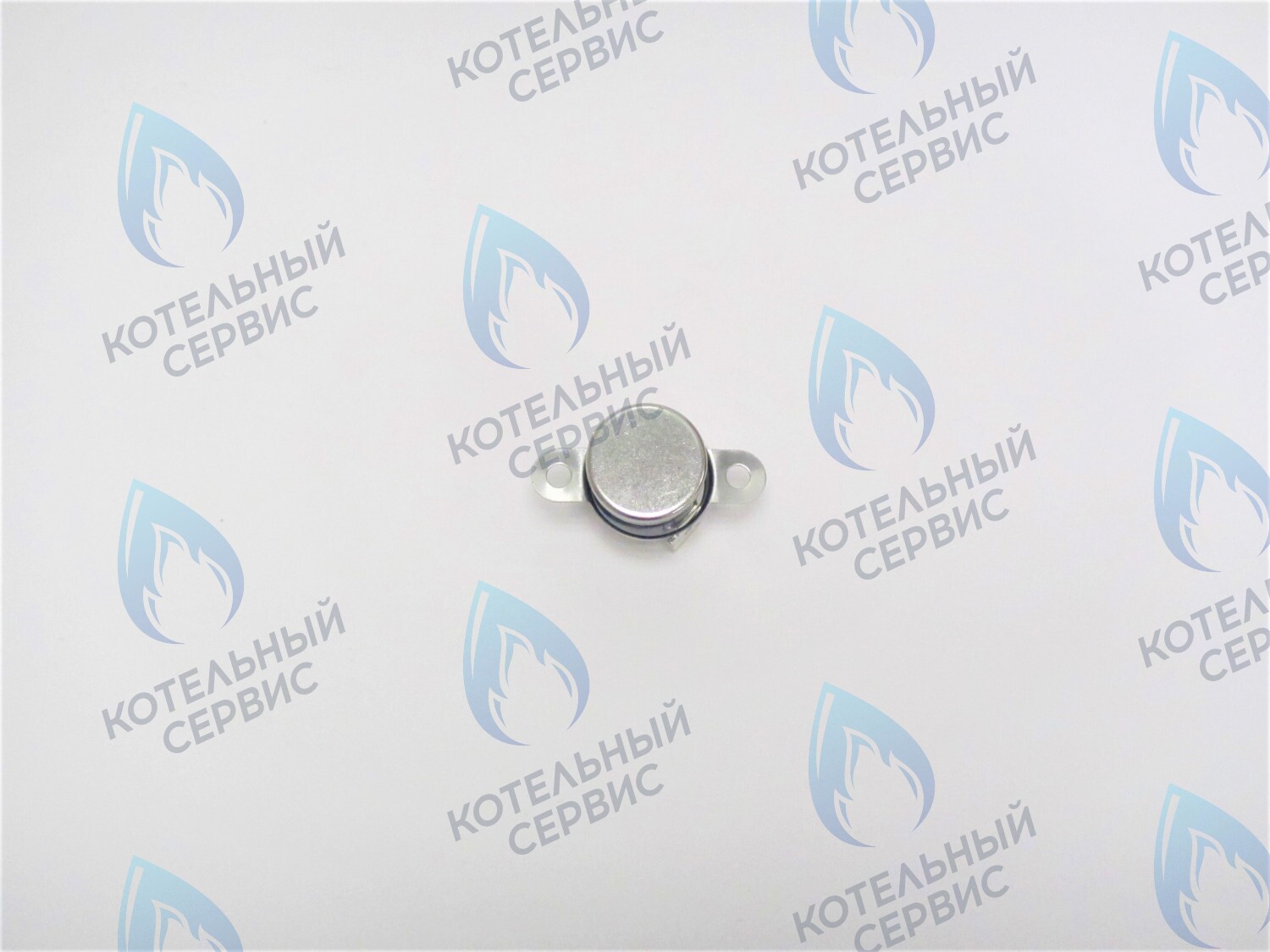 05-5007 Термостат отходящих газов Alpine Light POLYKRAFT в Орске
