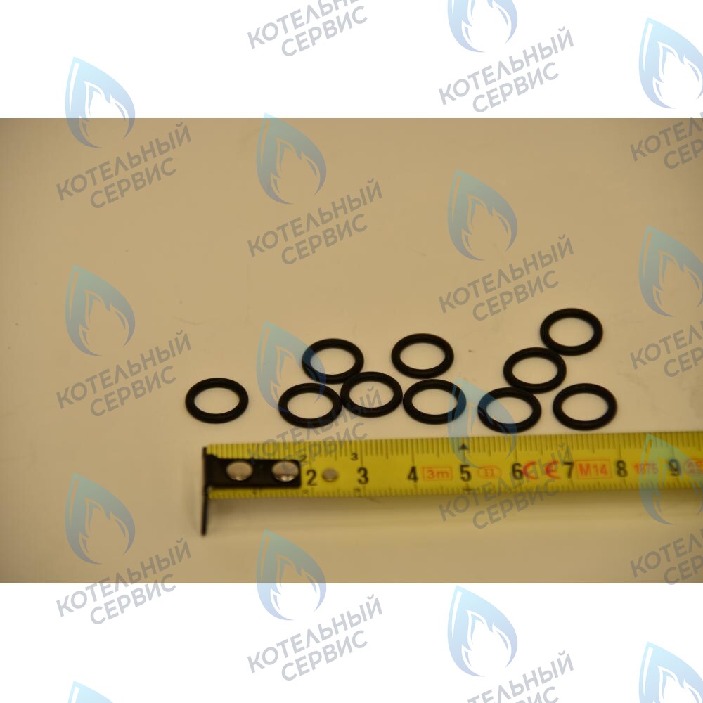 710048800 Уплотнение кольцевое 8,9X1,9 BAXI в Орске