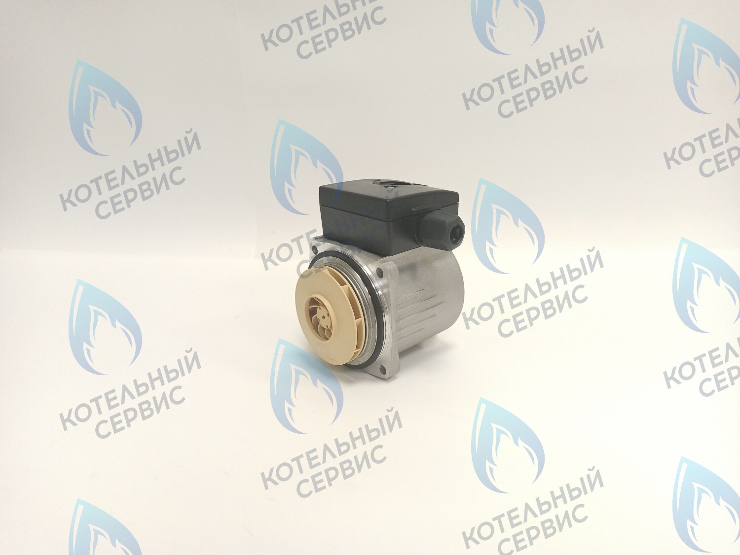 PH-P30CCW50-PR75 Двигатель насоса (против часовой) Protherm 15-50S (0020207146, 0020119604) в Орске