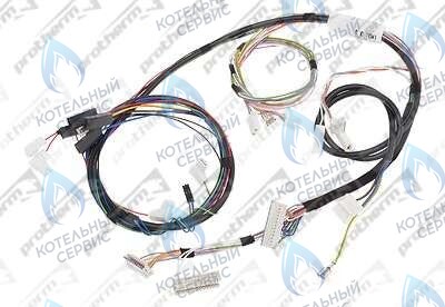 0020044908 Жгут проводов 24BTV17 PROTHERM в Орске