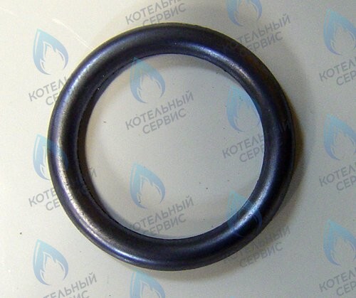 0020020741 Прокладка PROTHERM в Орске