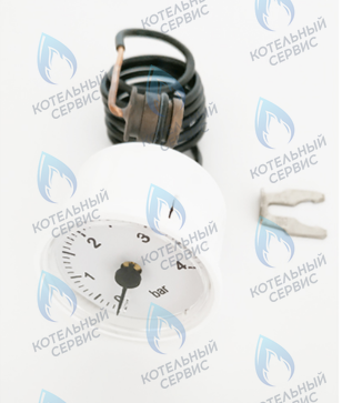 39846290 Манометр FERROLI в Орске