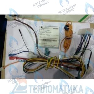 30003022A Жгут кабельный в сборе с коннекторами Atmo NAVIEN в Орске