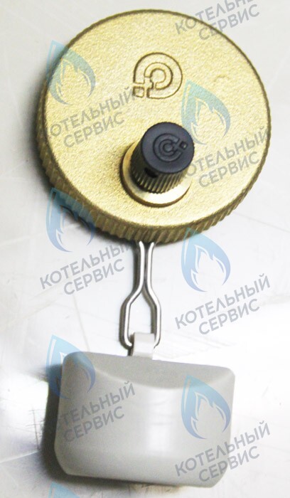 0020035044 Клапан воздухоотводчика PROTHERM в Орске