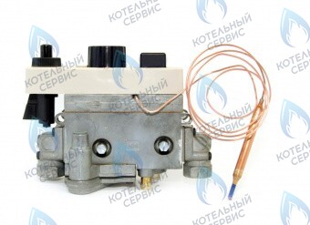 003382 Автоматика безопасности 710 ЛЕМАКС (Lemax) в Орске