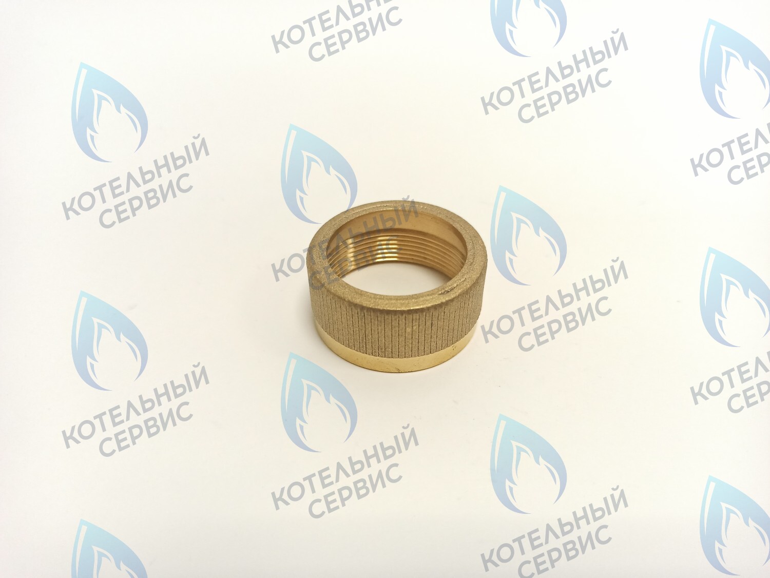 GGT101 Крепление мотора к трехходовому клапану VAILLANT в Орске