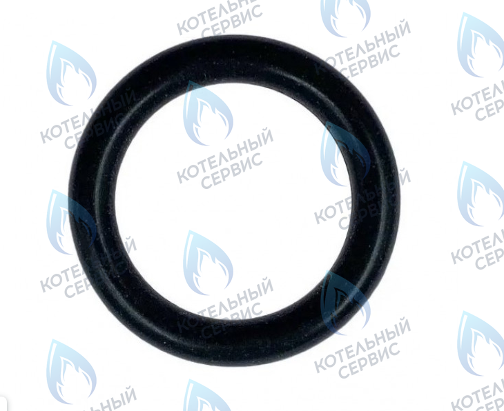 0020118672 Прокладка 5,28x1,78мм PROTHERM в Орске